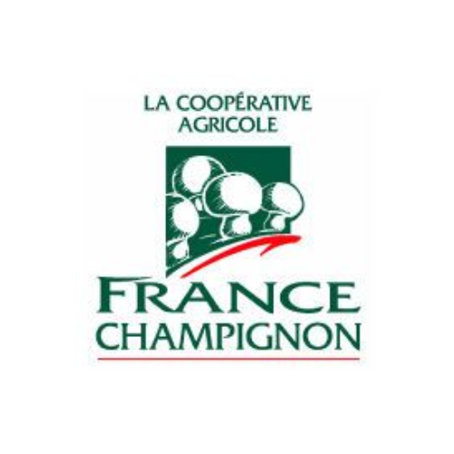 France Champignon